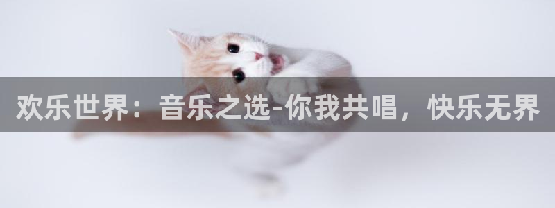 恒行5：欢乐世界：音乐之选-你我共唱，快乐无界