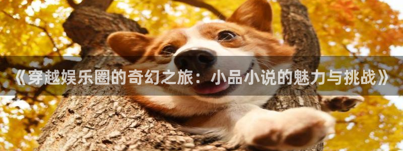 恒行5官网k88v店cc安全：《穿越娱乐圈的奇幻之旅：小品小说的魅力与挑战》