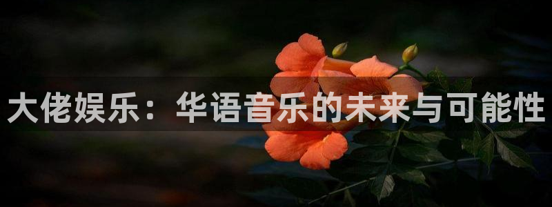 恒行5官网体验k88v典cc：大佬娱乐：华语音乐的未来与可能性