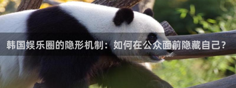 恒行5官网k88v店cc安全：韩国娱乐圈的隐形机制：如何在公众面前隐藏自己？